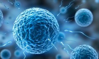 试管移植宫外孕症状早期一览，hcg异常时就要注意了