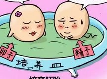 无精症也能播种好孕，试管婴儿一次促排，持续三次移植顺利