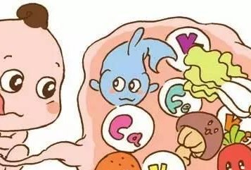 厦门试管婴儿移植前需要做哪些检查？