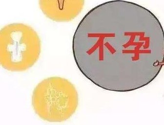 囊胚3ab成功率怎么样？移植成功率如何早有定数