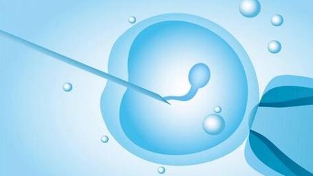 青医附院和妇幼做试管婴儿哪个更好？