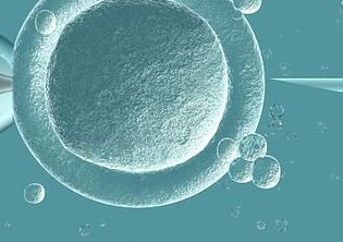 上海试管婴儿技术条件